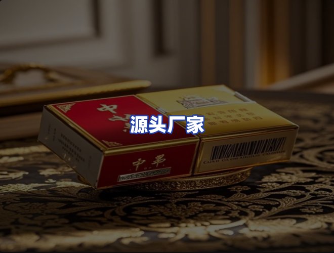 专业团队